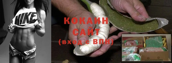 каннабис Корсаков