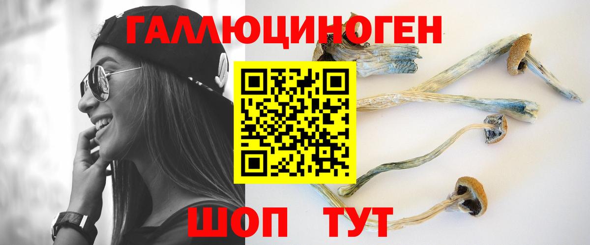 Галлюциногенные грибы Psilocybe Краснокамск